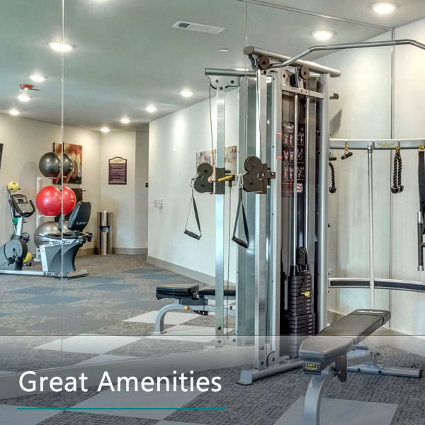 Features and Amenities